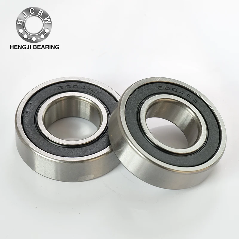 6004RS Dvojna vrstica Deep Groove kroglice